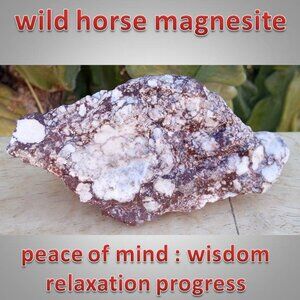 RARE Wild Horse Magnesite chunk stone rock crystal 03 PEACE wisdom RELAXATION